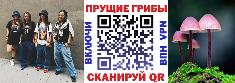 где найти наркотики  Сосенский  Псилоцибиновые грибы Psilocybe 